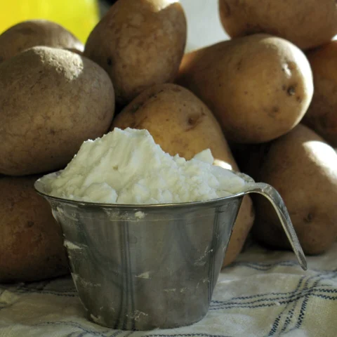 Fecola di patate