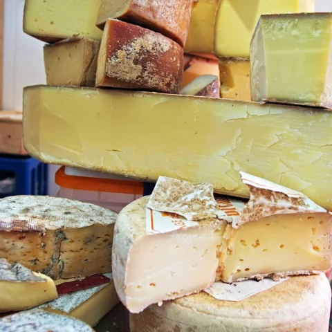Formaggio