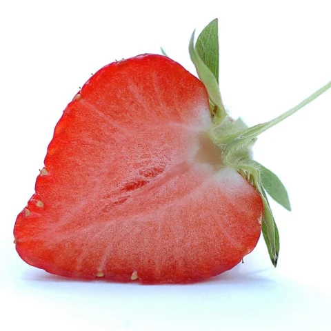 Fragole