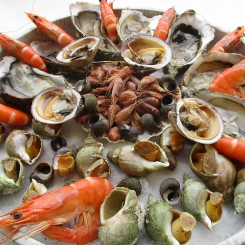 Frutti di mare