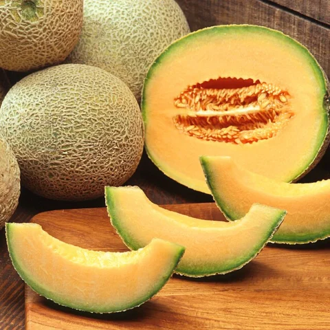 Melone