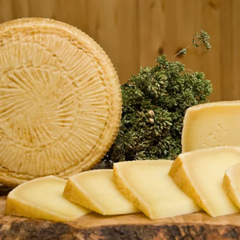 Pecorino