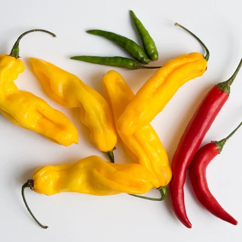 Peperoncino