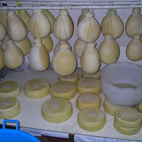 Provola