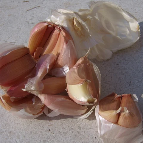 Aglio Bianco Polesano