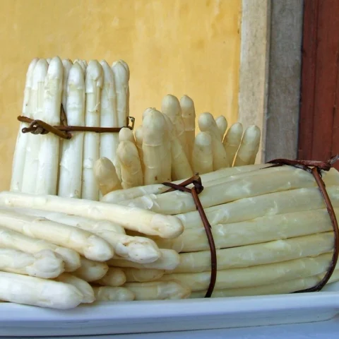 Asparago bianco di Bassano
