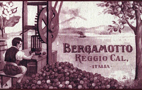 Bergamotto di Reggio Calabria