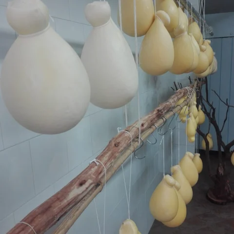Caciocavallo Silano