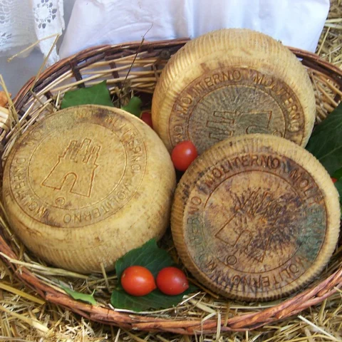 Canestrato di Moliterno